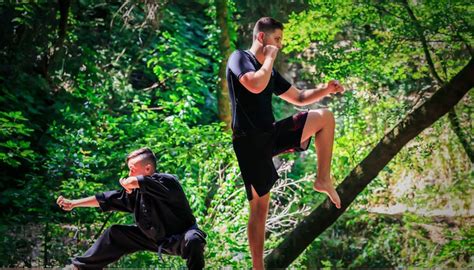However, never underestimate the power of the instruction and kung fu. . Hung gar distance learning